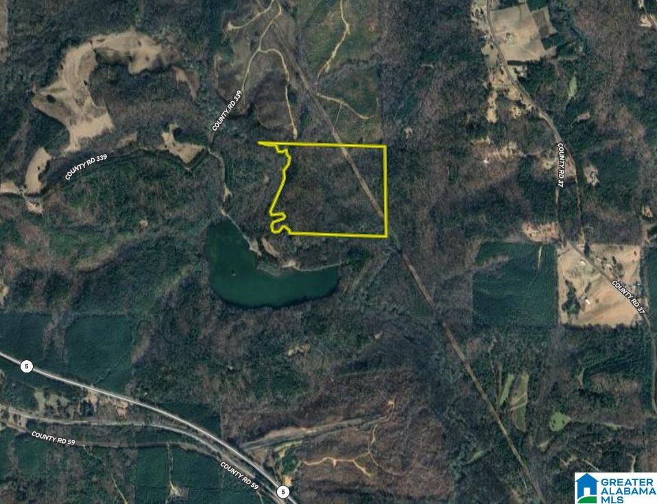 339 County Road Nauvoo, AL 35578 - Photo 57 of 57