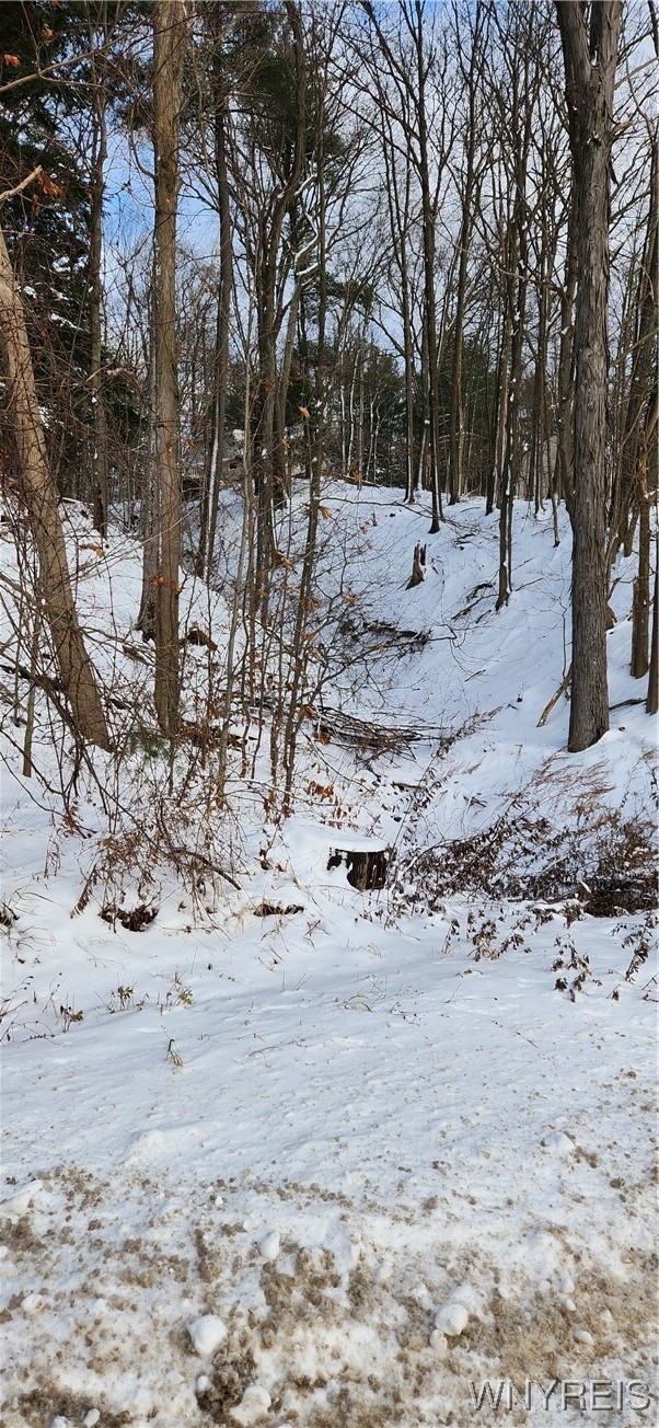V/l V/l Chestnut Ridge Road Orchard Park, NY 14127 - Photo 1 of 1 Gallery Image 1