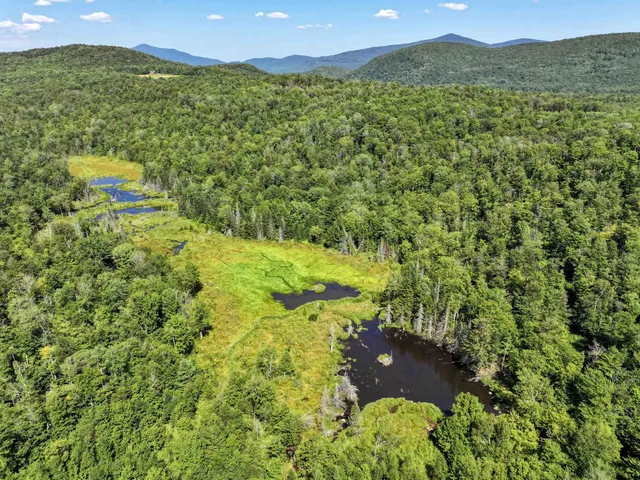 $220,000 | Lot 3 Lincoln Road, Ripton, VT 05766