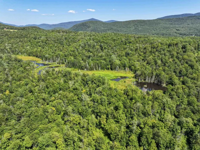 $220,000 | Lot 3 Lincoln Road, Ripton, VT 05766