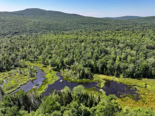 $220,000 | Lot 3 Lincoln Road, Ripton, VT 05766