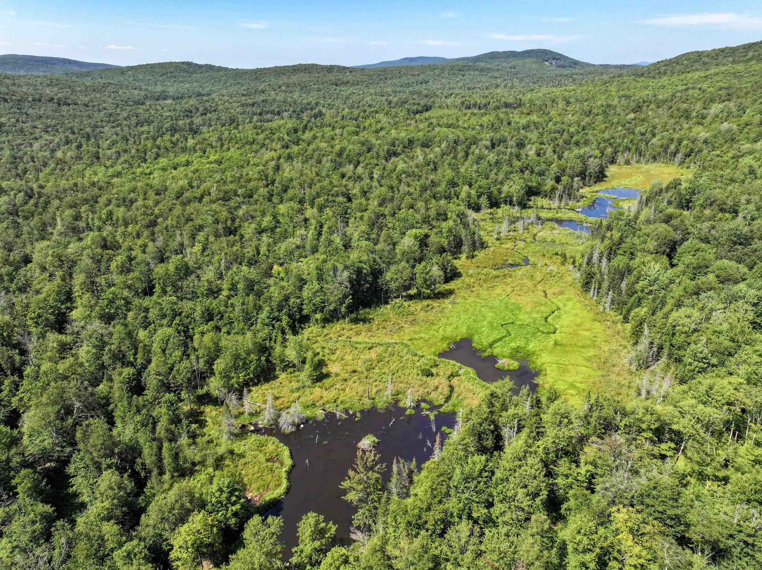 Lot 3 Lincoln Road Ripton, VT 05766 - Photo 16 of 21