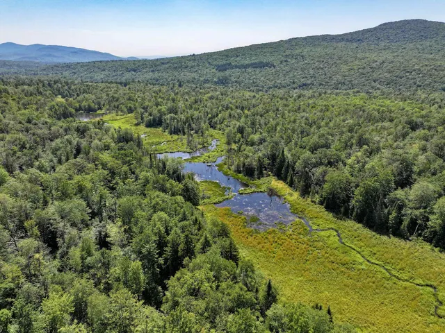 $220,000 | Lot 3 Lincoln Road, Ripton, VT 05766