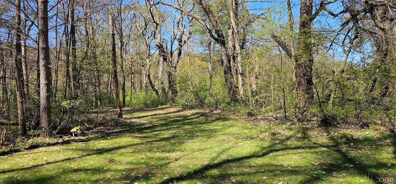 1720 County Route 12 De Ruyter, NY 13052 - Photo 19 of 49