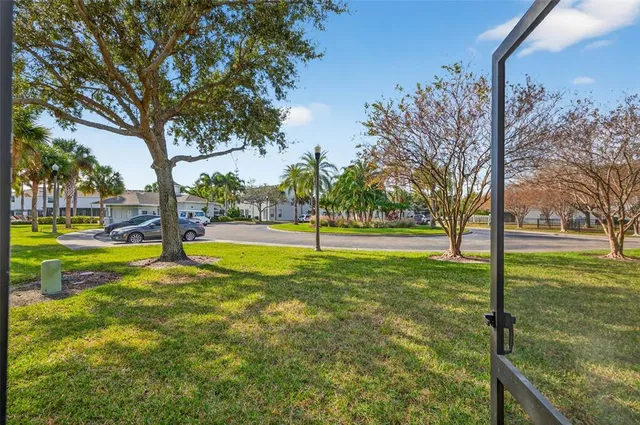 a view of a park with large trees
