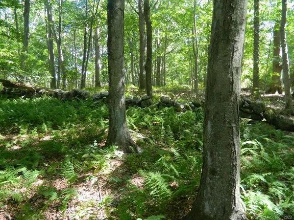 $995,000 | 184 Shore Road, Old Lyme, CT 06371