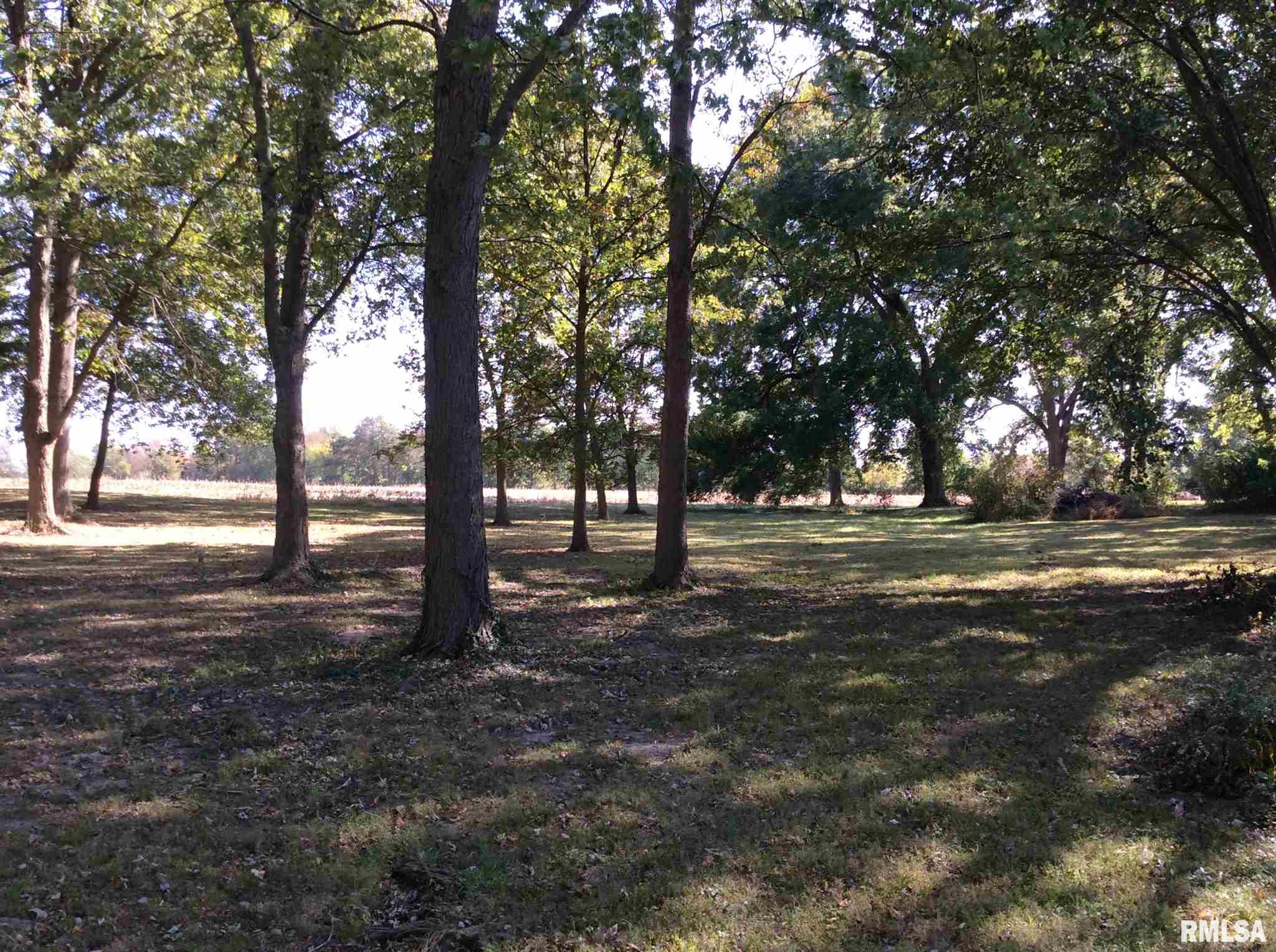 15075 East Reef Road Mount Vernon, IL 62864 - Photo 24 of 25 Gallery Image 24