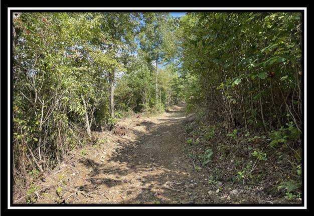0 Clary Road, Unit TRACT 3) Ray, OH 45672 - Photo 35 of 45 image035