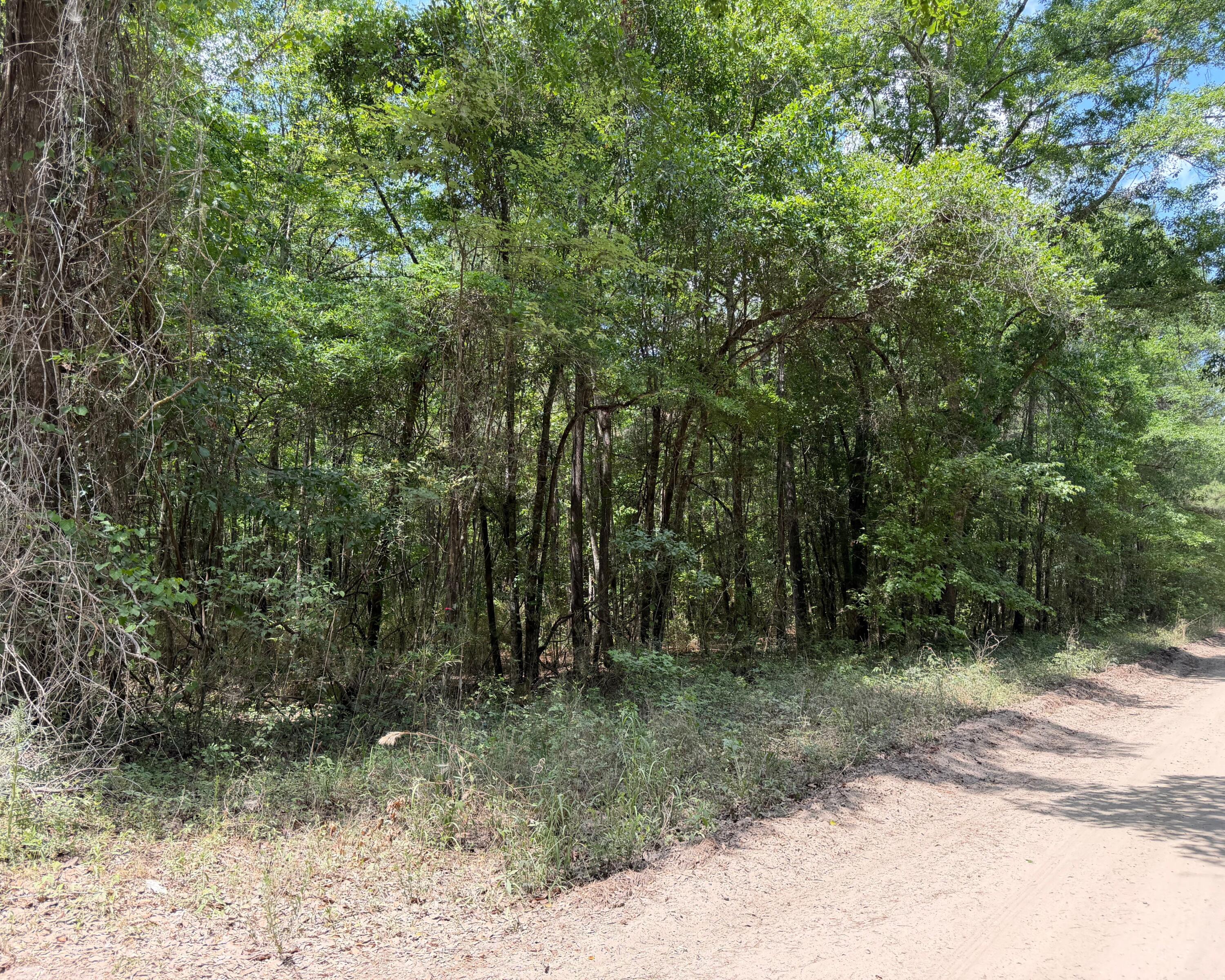 0 Toney Bay Road Holly Hill, SC 29059 - Photo 3 of 6