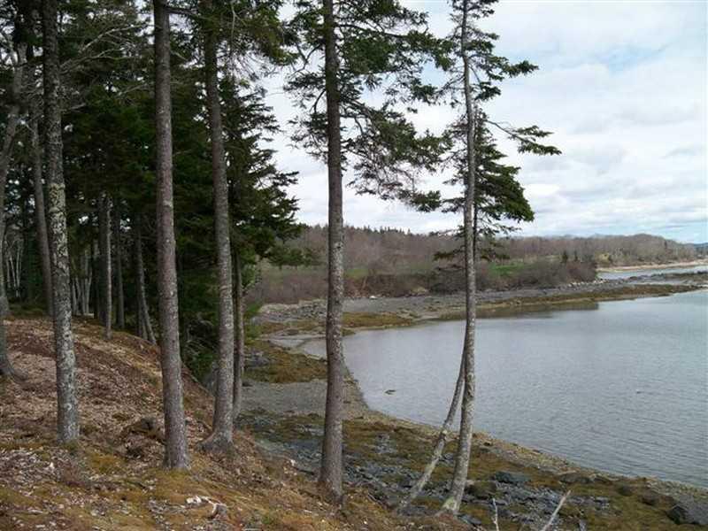 24 Treasure Island Road Sorrento, ME 04677 - Photo 15 of 17 Land.