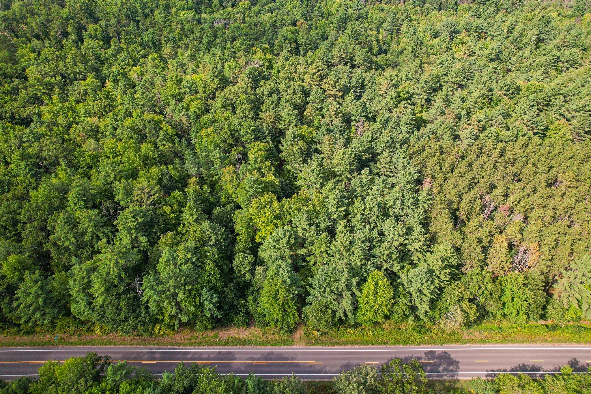 3 State Highway Wisconsin Rapids, WI 54495 - Photo 5 of 24 Gallery Image 5