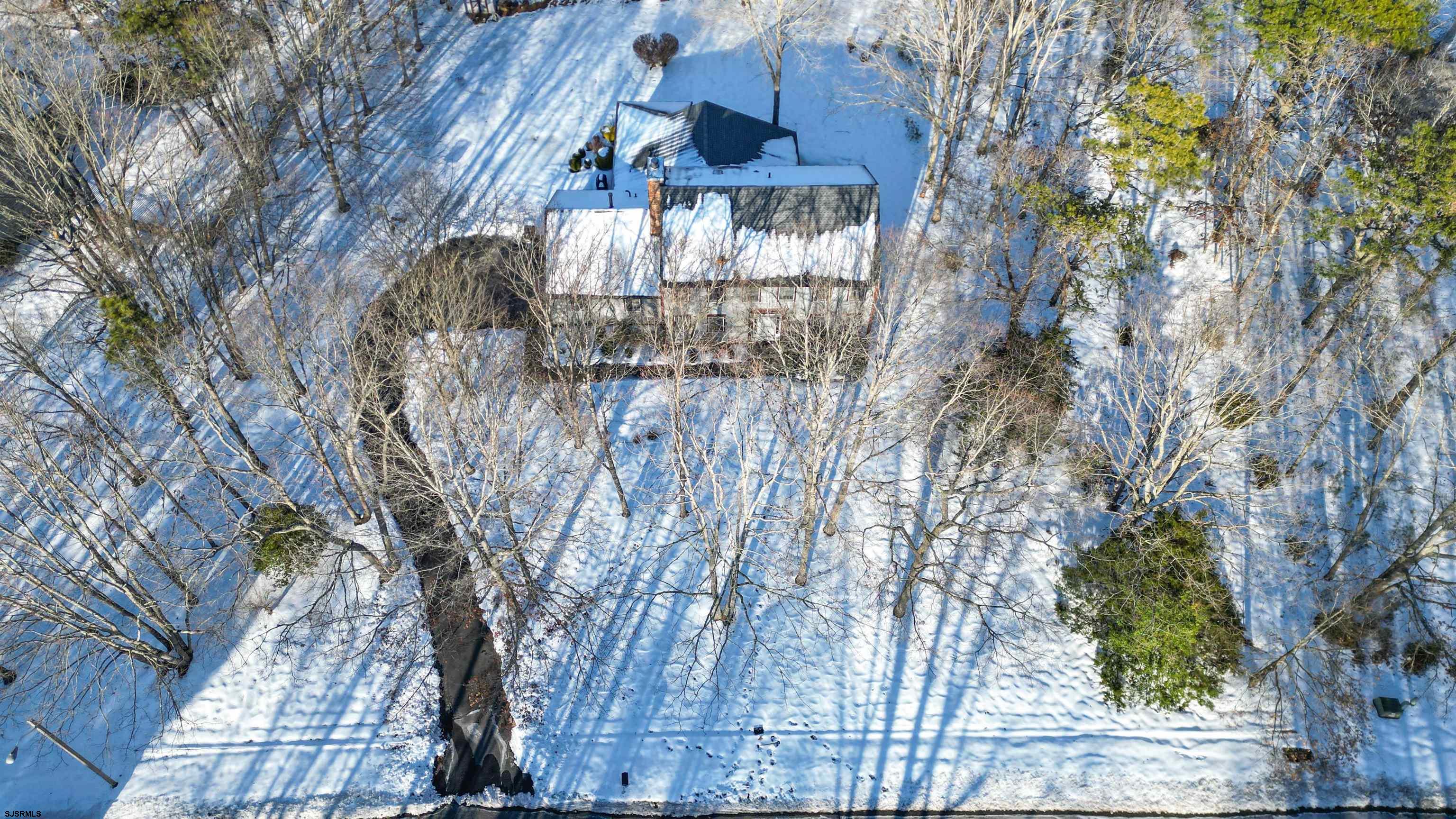 627 East Seaview Ridge Drive Galloway Township, NJ 08205 - Photo 3 of 50 a picture of trees