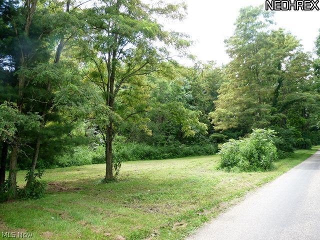 437 A Township Road Dresden, OH 43821 - Photo 2 of 5 Gallery Image 2