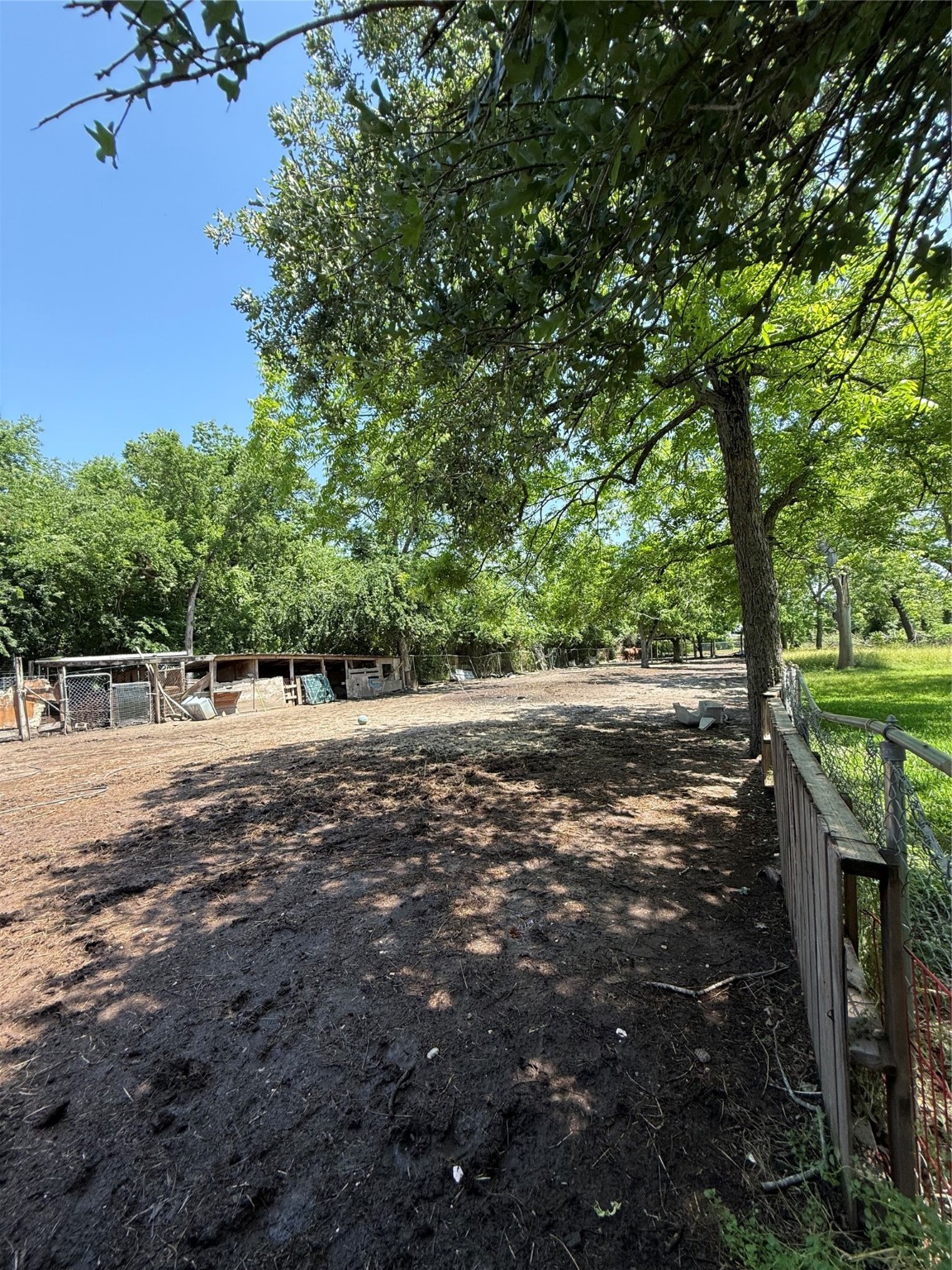 4312 Banner Drive Houston, TX 77013 - Photo 7 of 13 a view of backyard with tree