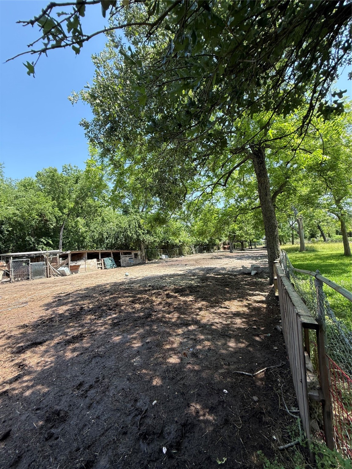 4312 Banner Drive Houston, TX 77013 - Photo 8 of 13 a view of a yard with plants and trees