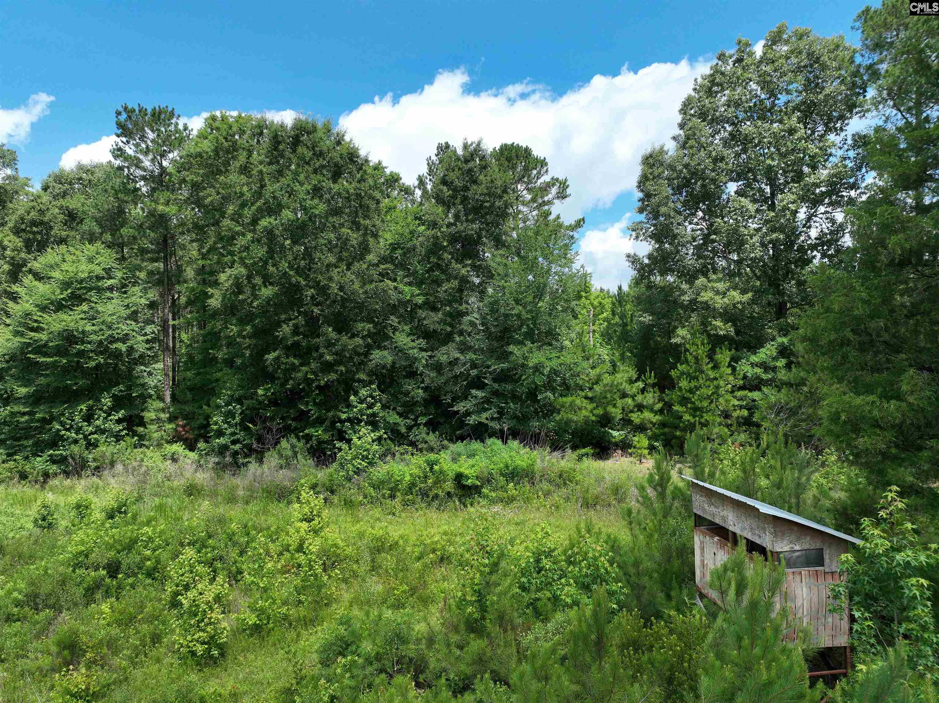 0 Rocky Branch Road Little Mountain, SC 29075 - Photo 12 of 24 a view of outdoor space and yard