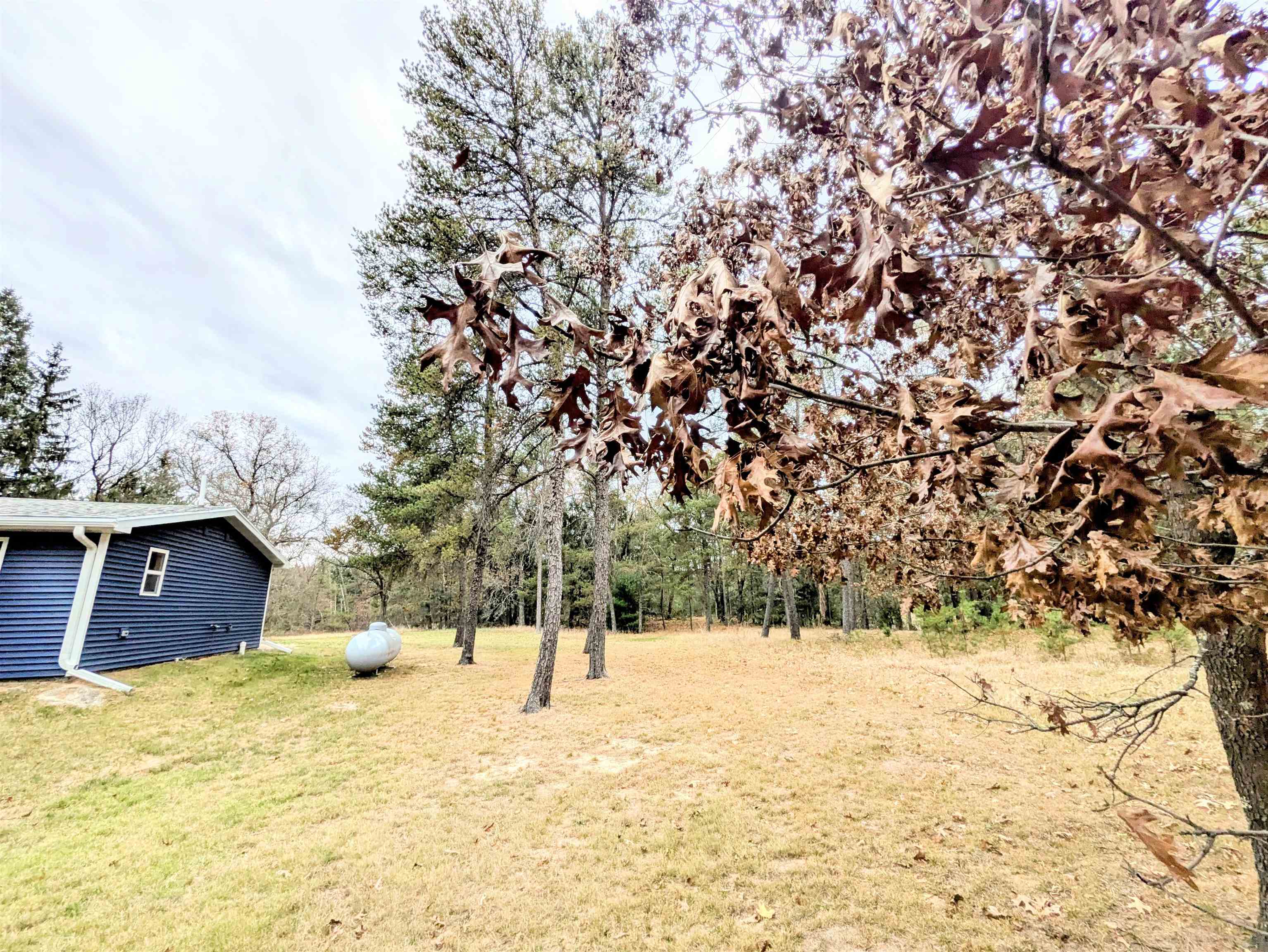 2009 9th Avenue Friendship, WI 53934 - Photo 17 of 22