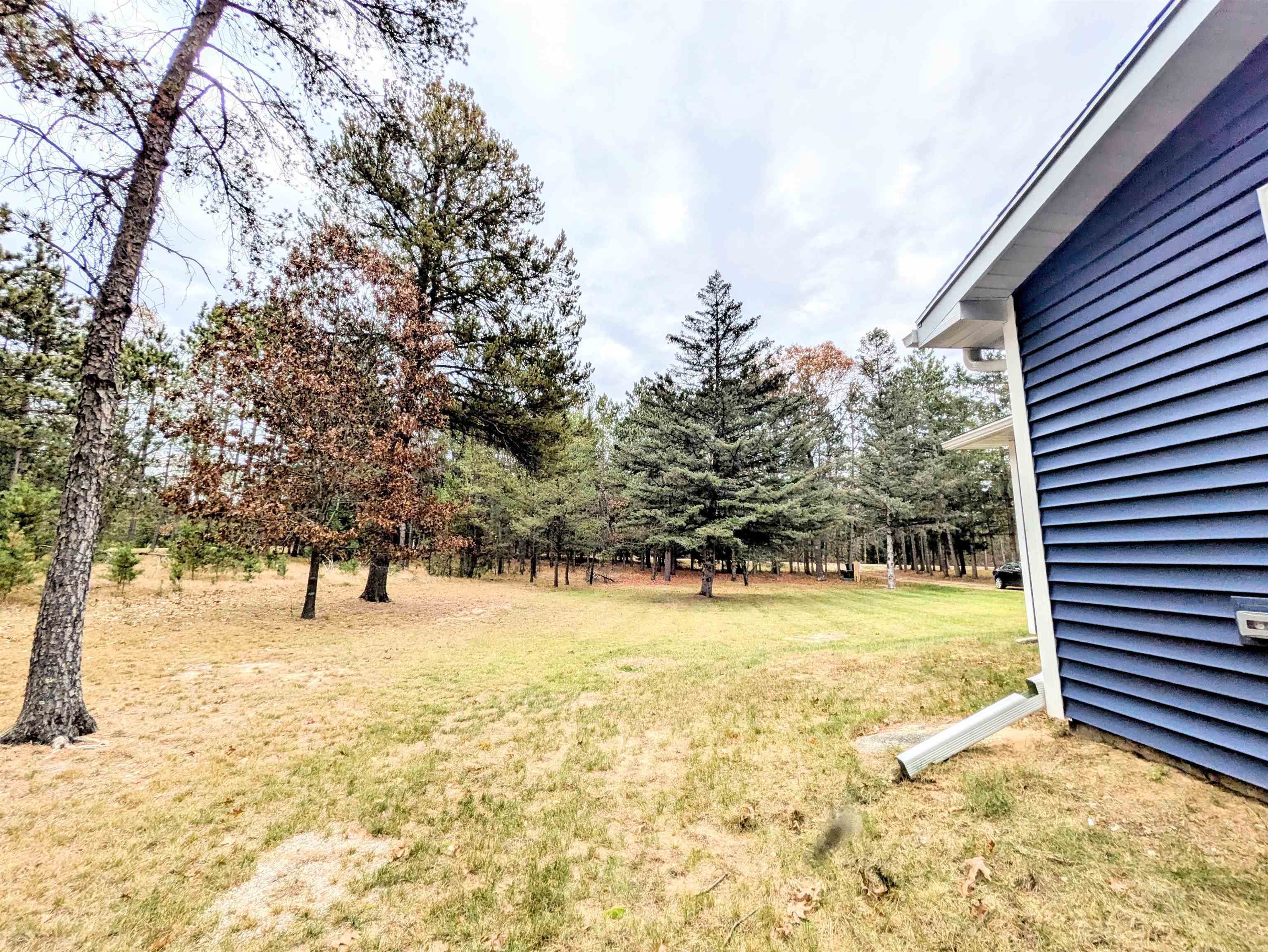 2009 9th Avenue Friendship, WI 53934 - Photo 18 of 22