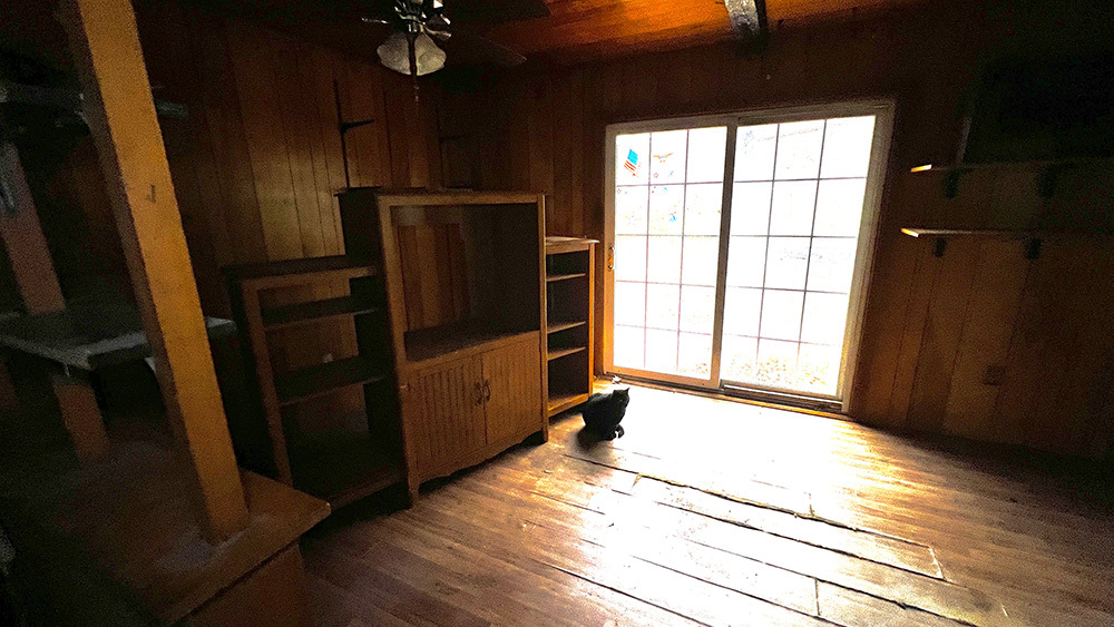 8919 Meredosia Road Albany, IL 61230 - Photo 15 of 35 a view of an empty room with wooden floor and a window