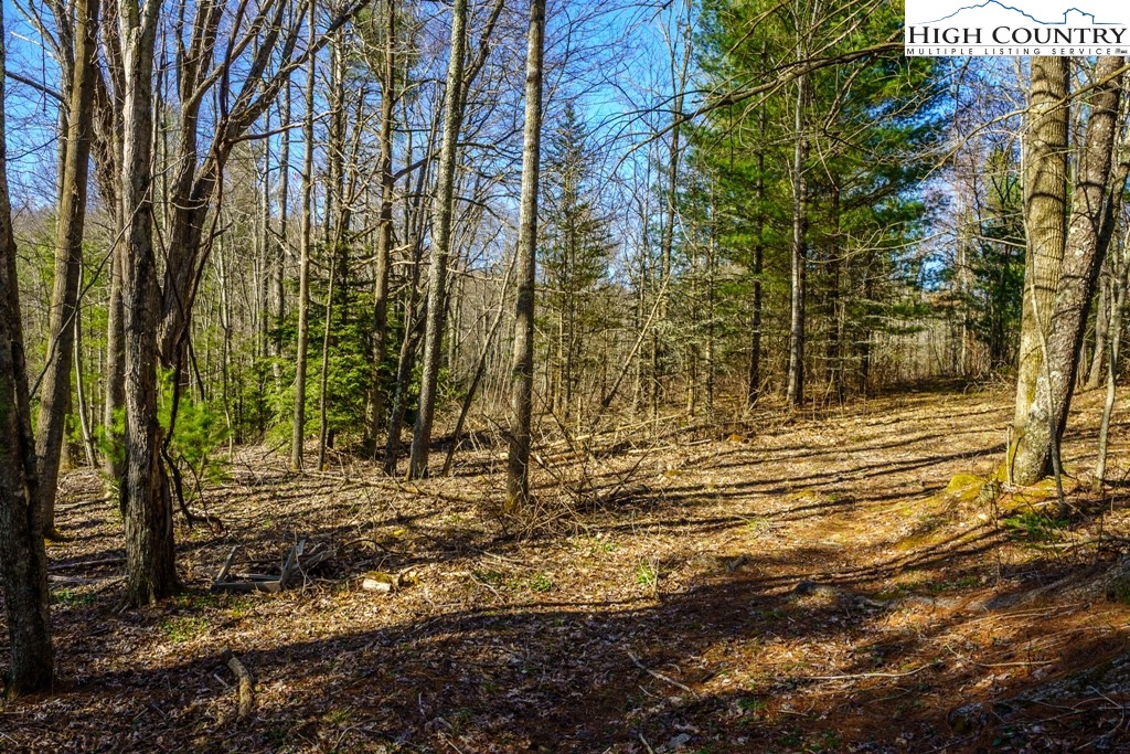 Hollerth Road Linville, NC 28646 - Photo 11 of 20 Gallery Image 11