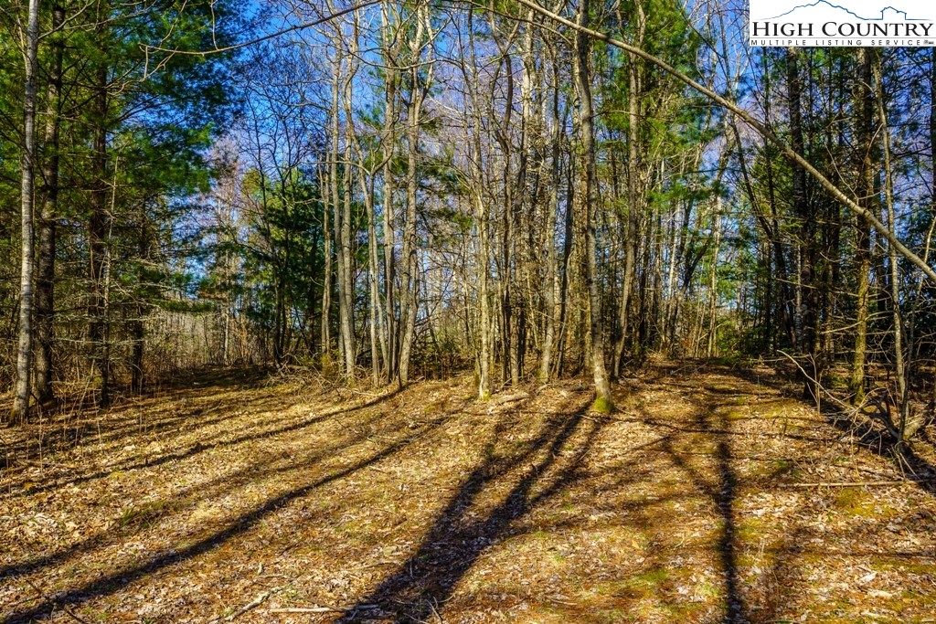 Hollerth Road Linville, NC 28646 - Photo 13 of 20 Gallery Image 13