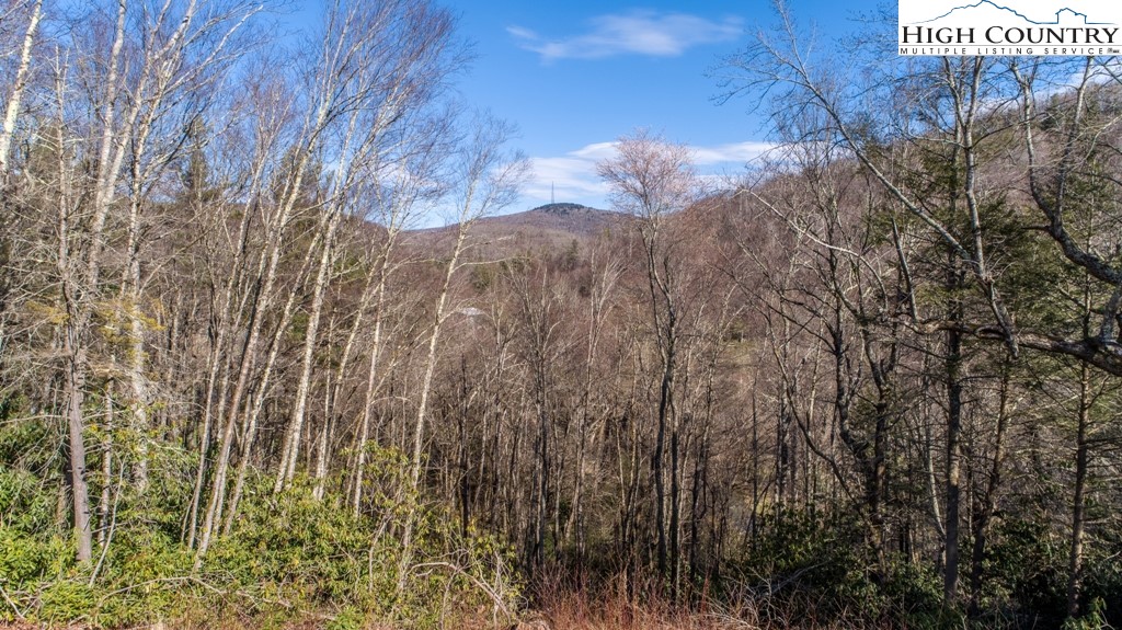 Hollerth Road Linville, NC 28646 - Photo 2 of 20 Gallery Image 2
