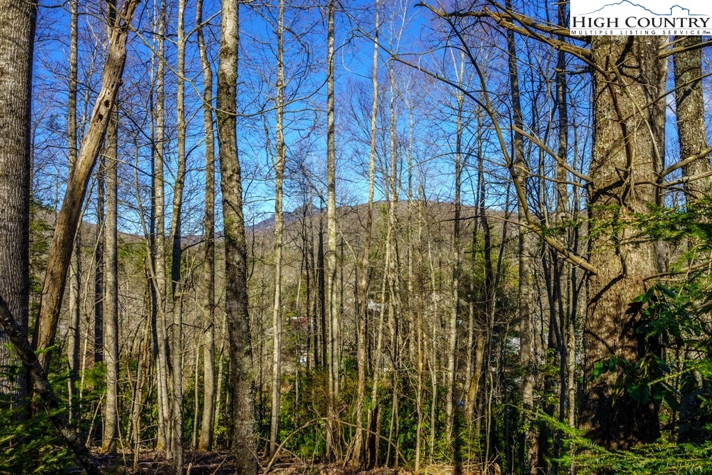 Hollerth Road Linville, NC 28646 - Photo 3 of 20 Gallery Image 3