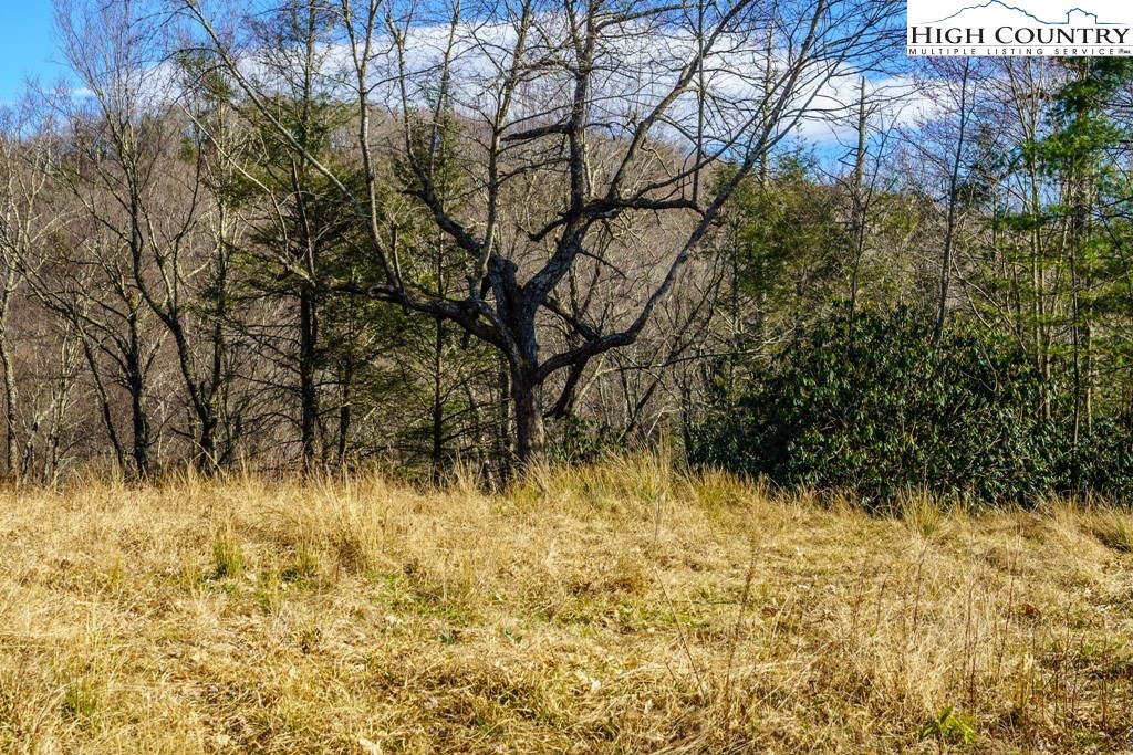 Hollerth Road Linville, NC 28646 - Photo 7 of 20 Gallery Image 7