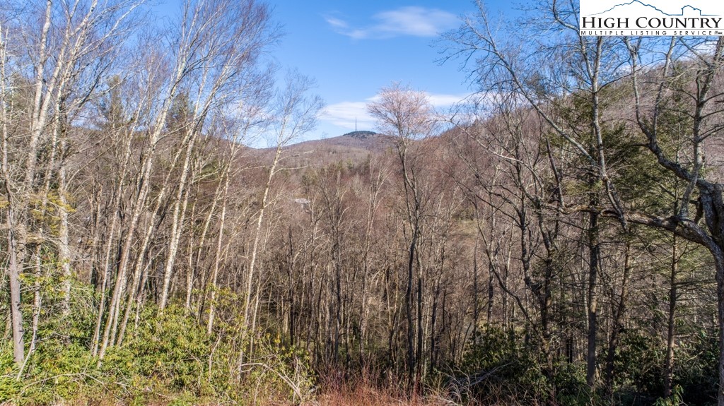 Hollerth Road Linville, NC 28646 - Photo 8 of 20 Gallery Image 8