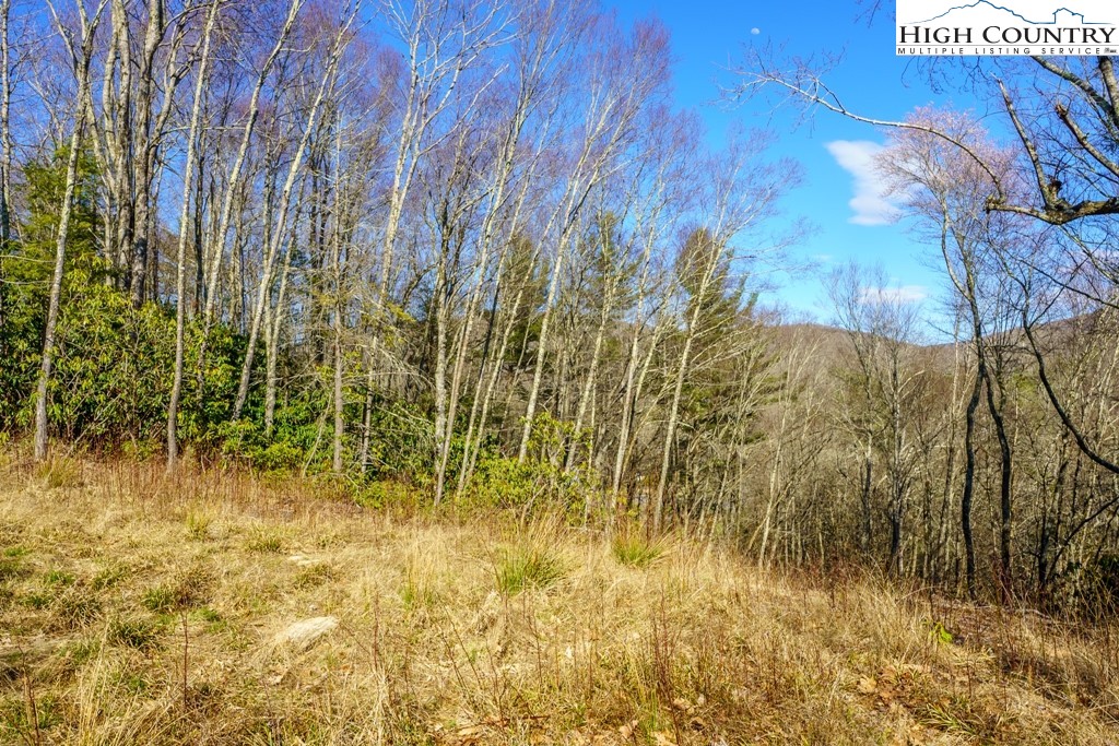Hollerth Road Linville, NC 28646 - Photo 9 of 20 Gallery Image 9