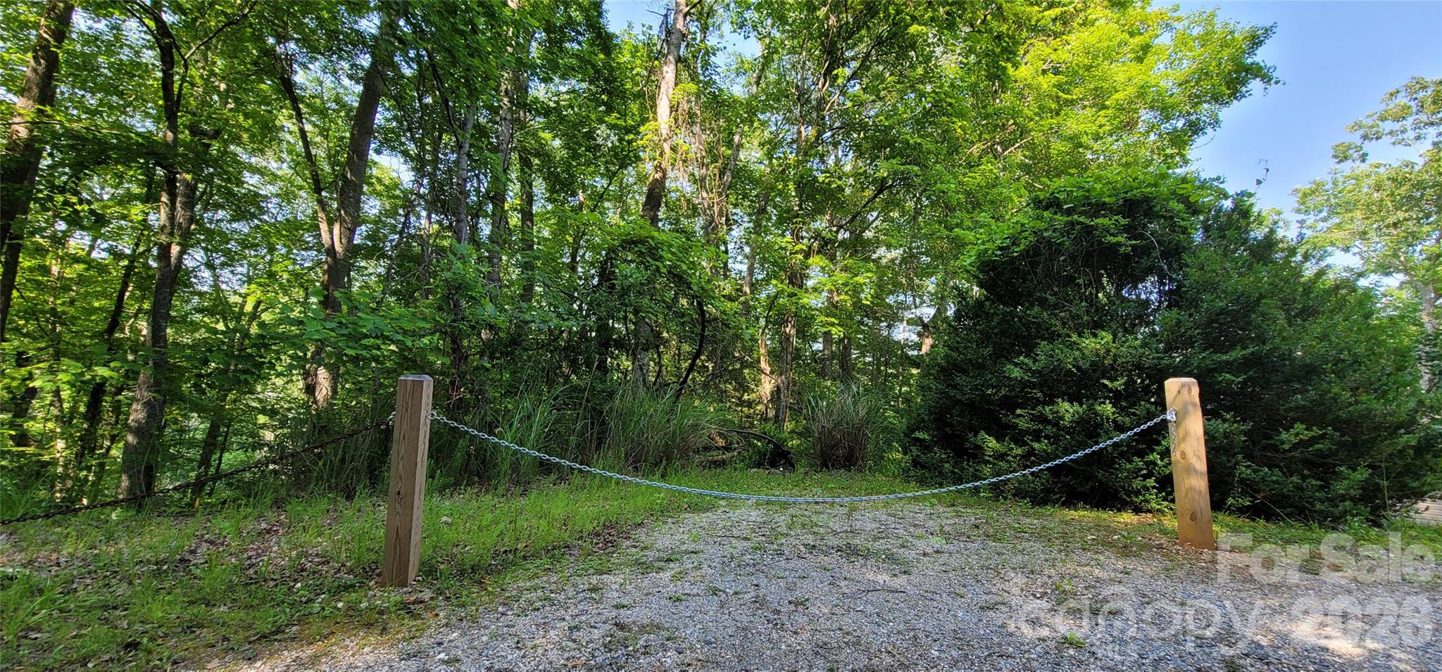 0 Deer Park Lake Road Spruce Pine, NC 28777 - Photo 19 of 24 a backyard of a house with plants and entertaining space