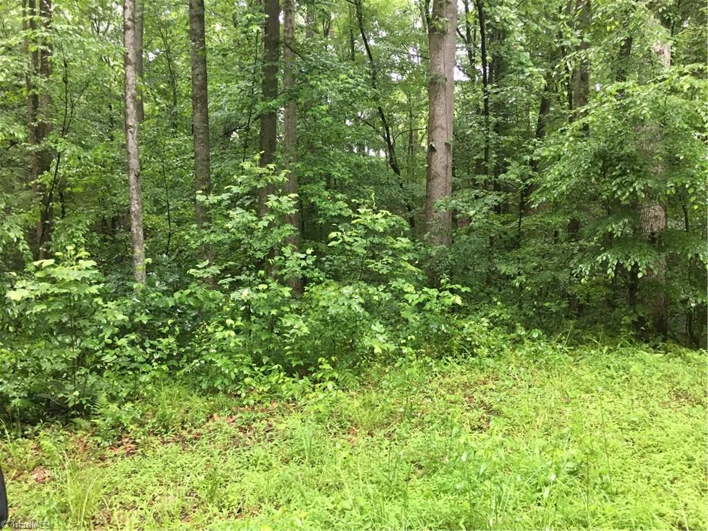 410 Dulin Road Mocksville, NC 27028 - Photo 22 of 23 Gallery Image 22