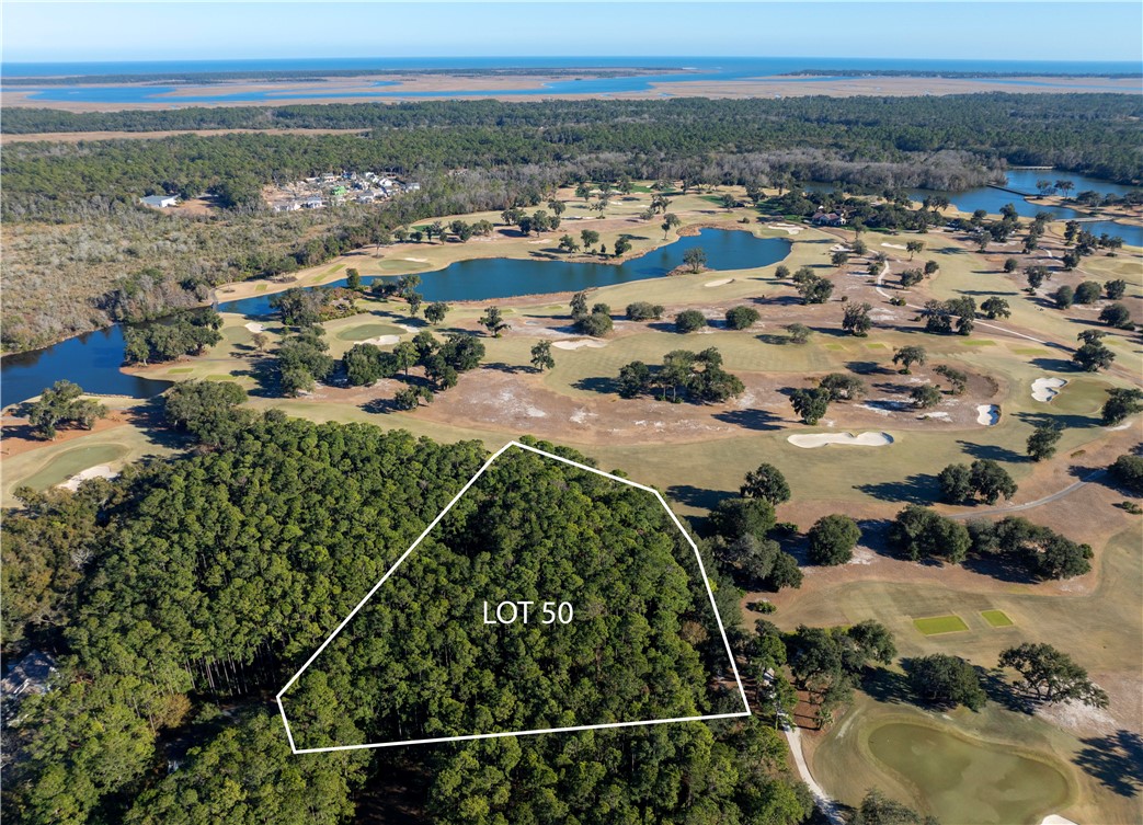 48 Marlin Lane St. Simons Island, GA 31522 - Photo 3 of 7