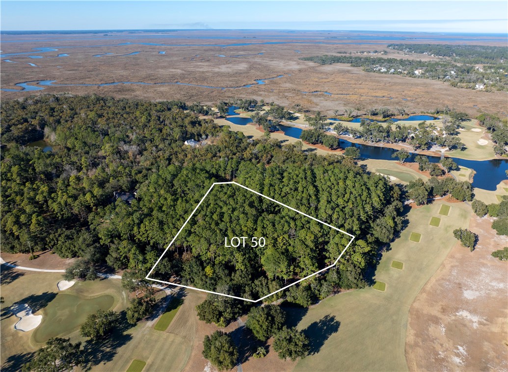 48 Marlin Lane St. Simons Island, GA 31522 - Photo 4 of 7