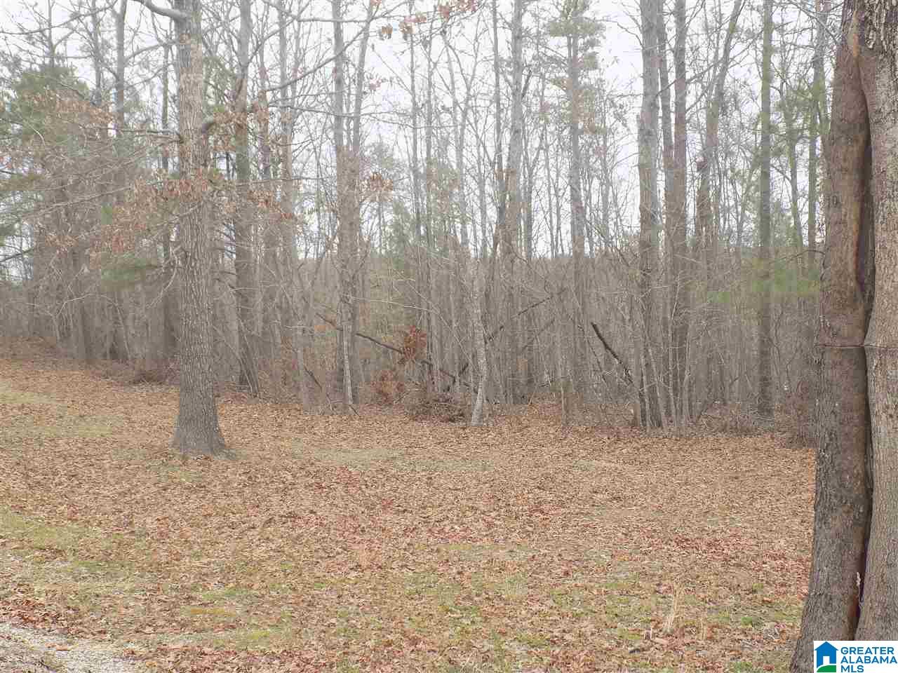 140 Risley Drive Odenville, AL 35120 - Photo 17 of 18