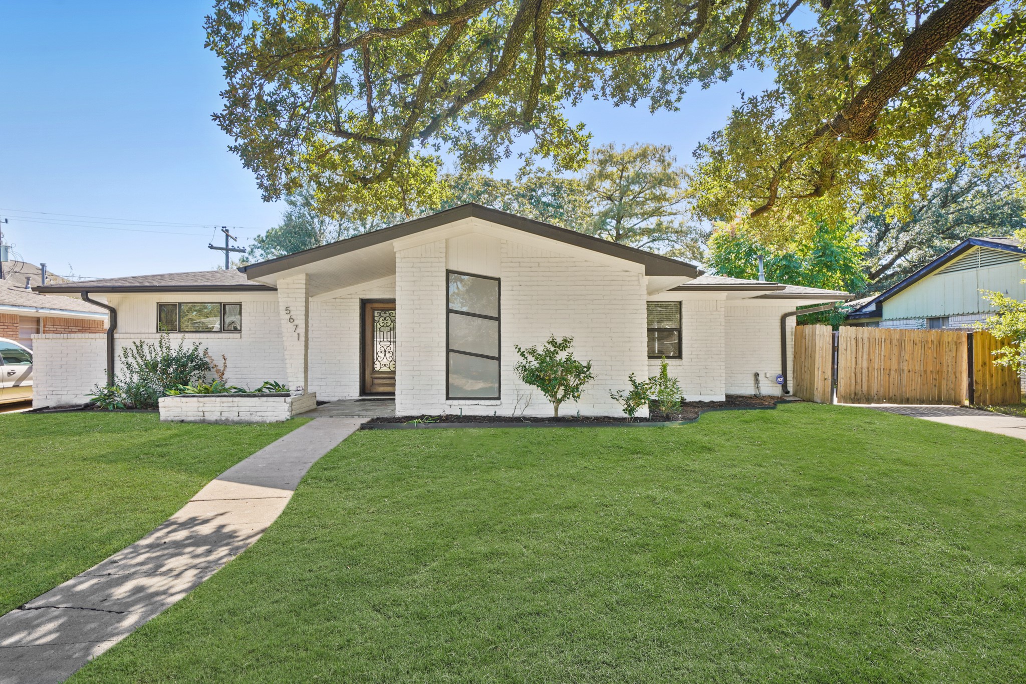 a view of a yard in front of a house with plants and large tree