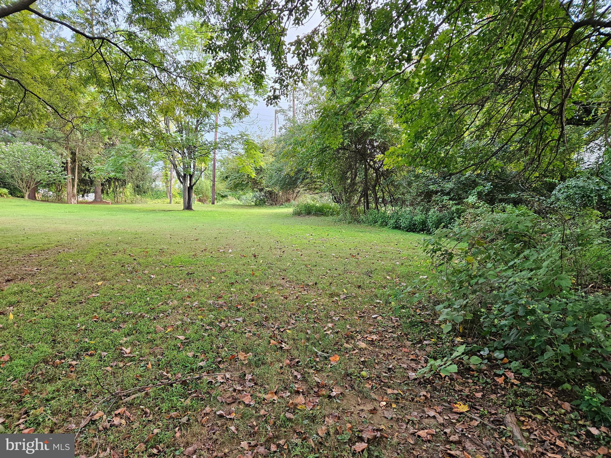 313 Central Avenue Malvern, PA 19355 - Photo 1 of 6 a view of a field with trees in the background