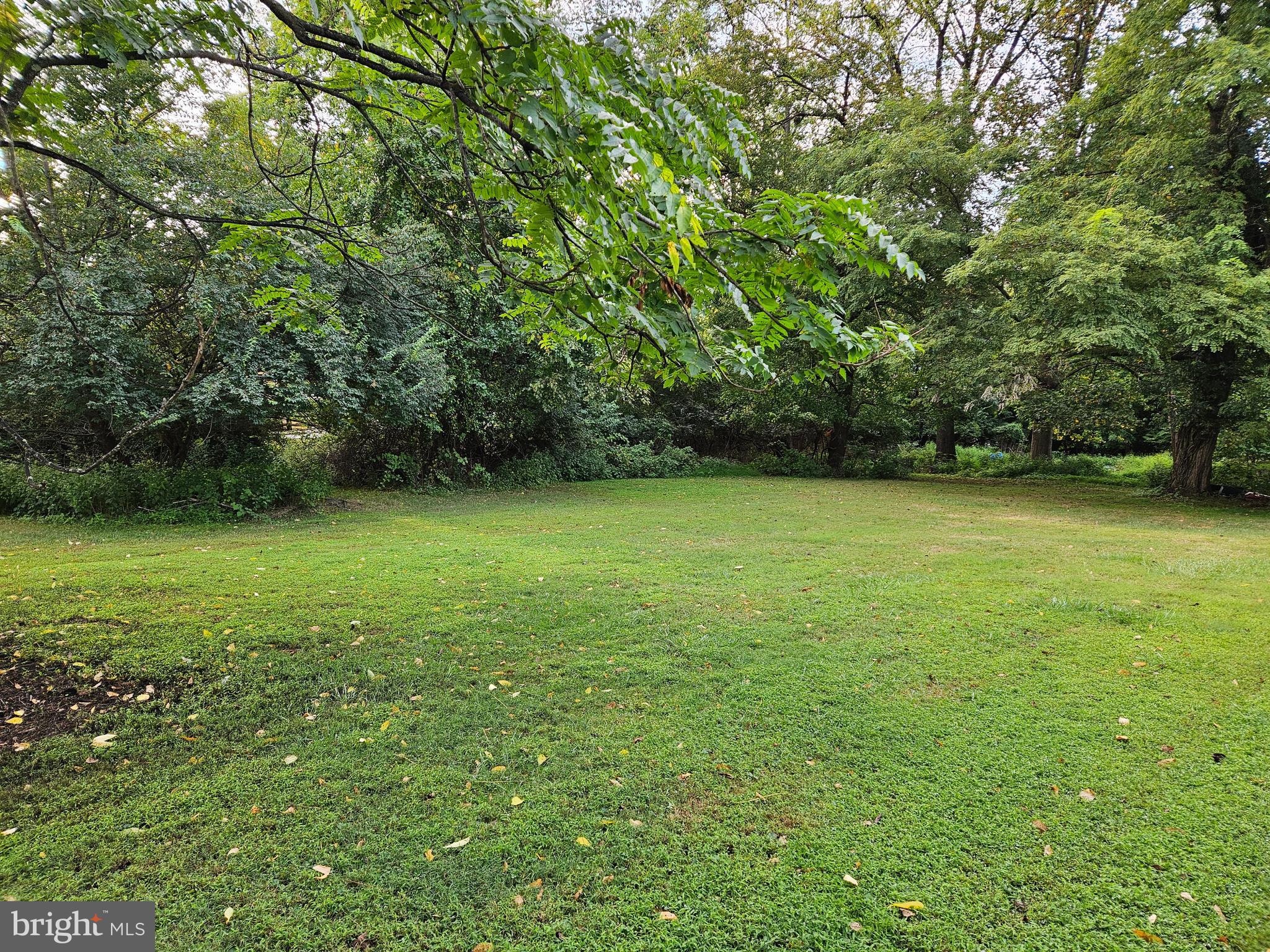 313 Central Avenue Malvern, PA 19355 - Photo 2 of 6 a view of a green yard