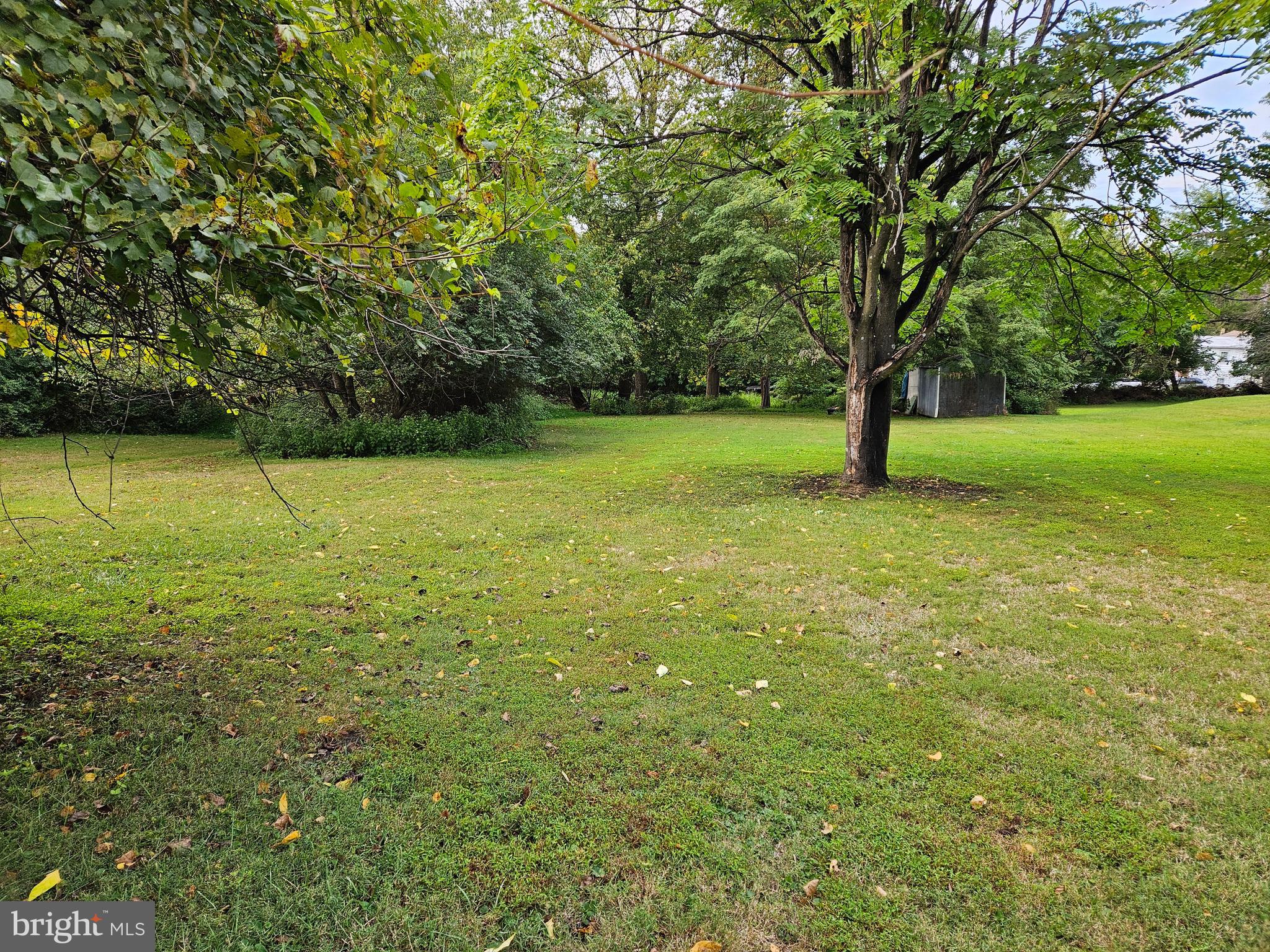 313 Central Avenue Malvern, PA 19355 - Photo 6 of 6 a view of a trees with a yard