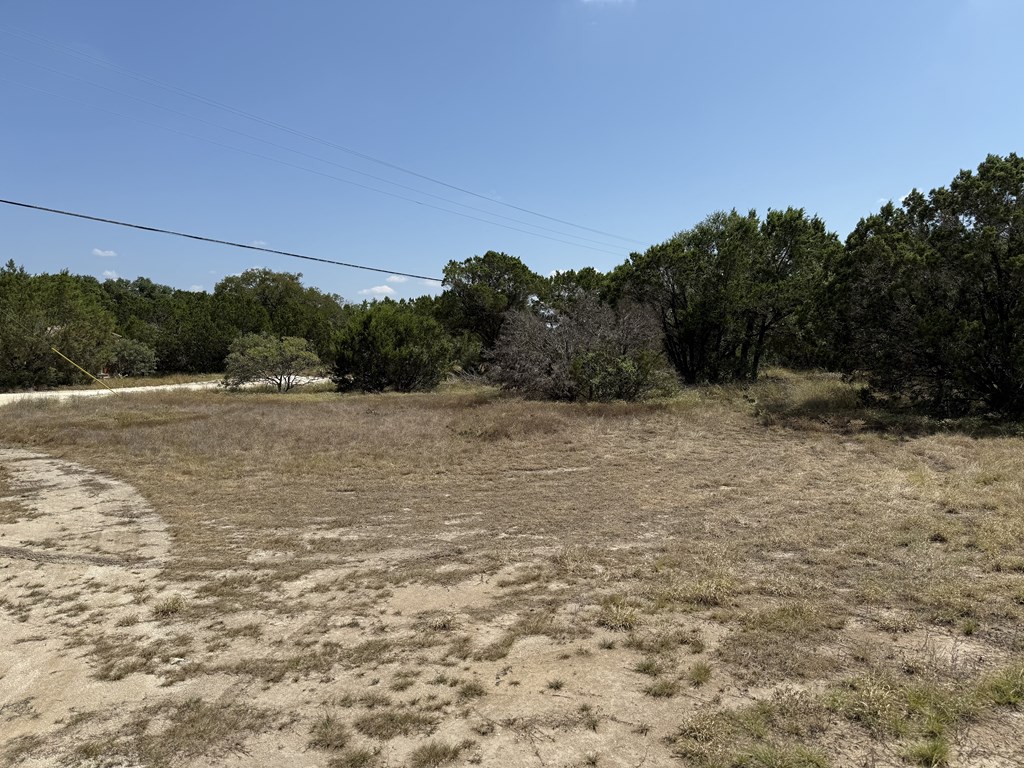 1608 Campfire Drive, Unit 10 Spring Branch, TX 78070 - Photo 12 of 13 a view of a lake view