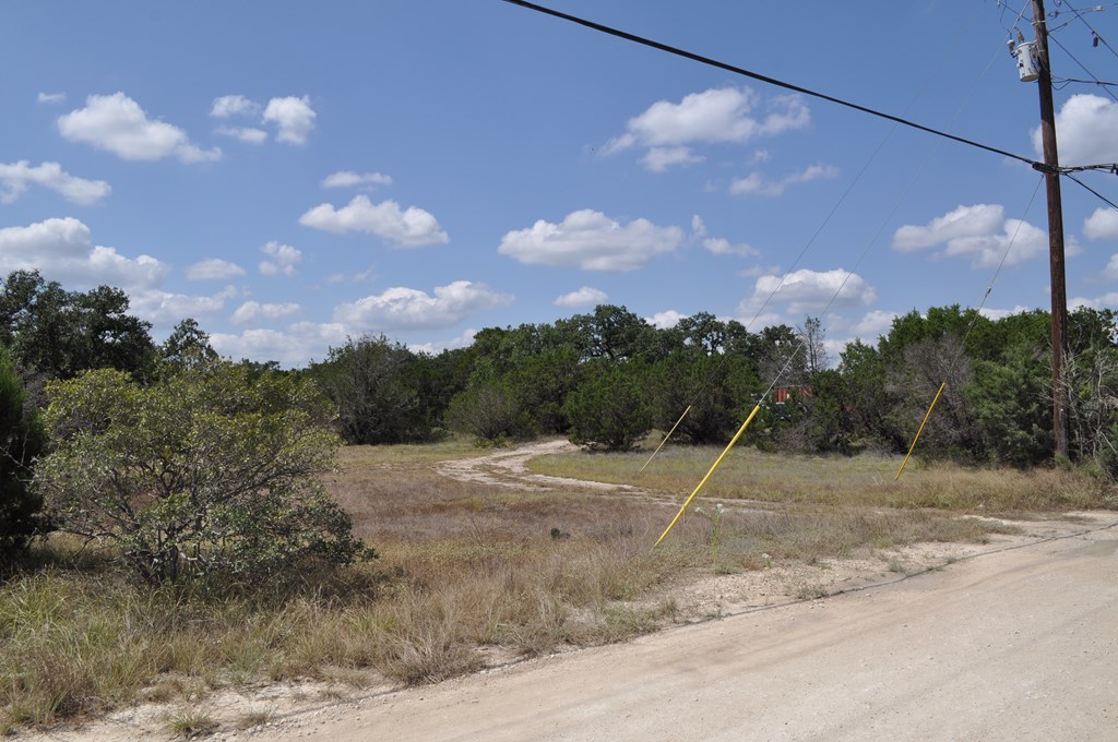 1608 Campfire Drive, Unit 10 Spring Branch, TX 78070 - Photo 2 of 13 a view of a backyard of the house