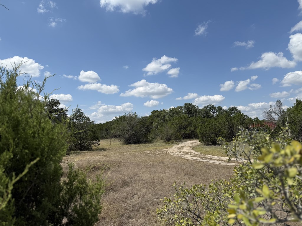 1608 Campfire Drive, Unit 10 Spring Branch, TX 78070 - Photo 5 of 13 a view of a pathway both side of grassy field with shrub