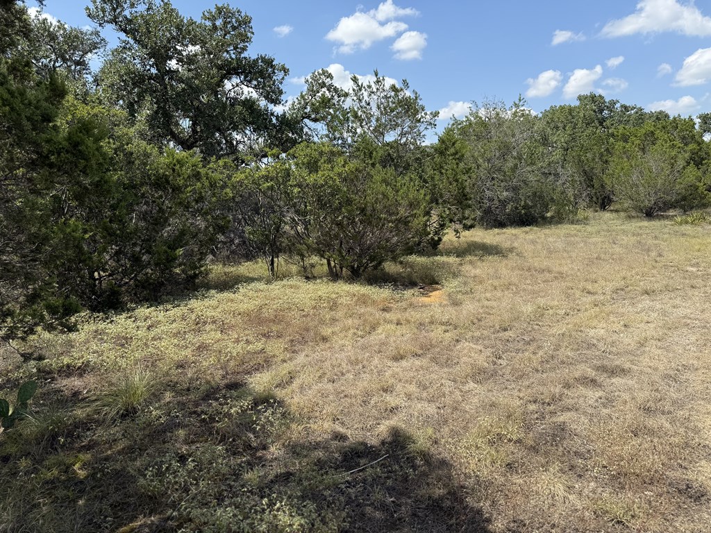 1608 Campfire Drive, Unit 10 Spring Branch, TX 78070 - Photo 8 of 13 a view of a yard with a tree