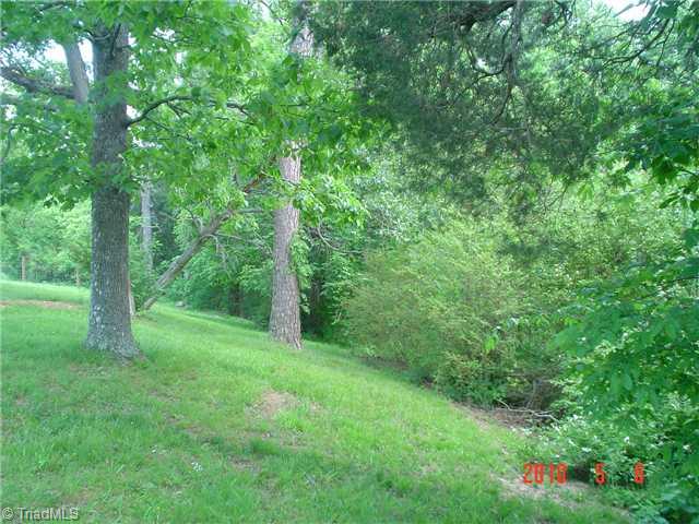 6215 Davis Mill Road Randleman, NC 27317 - Photo 14 of 16 Yard/Garden.