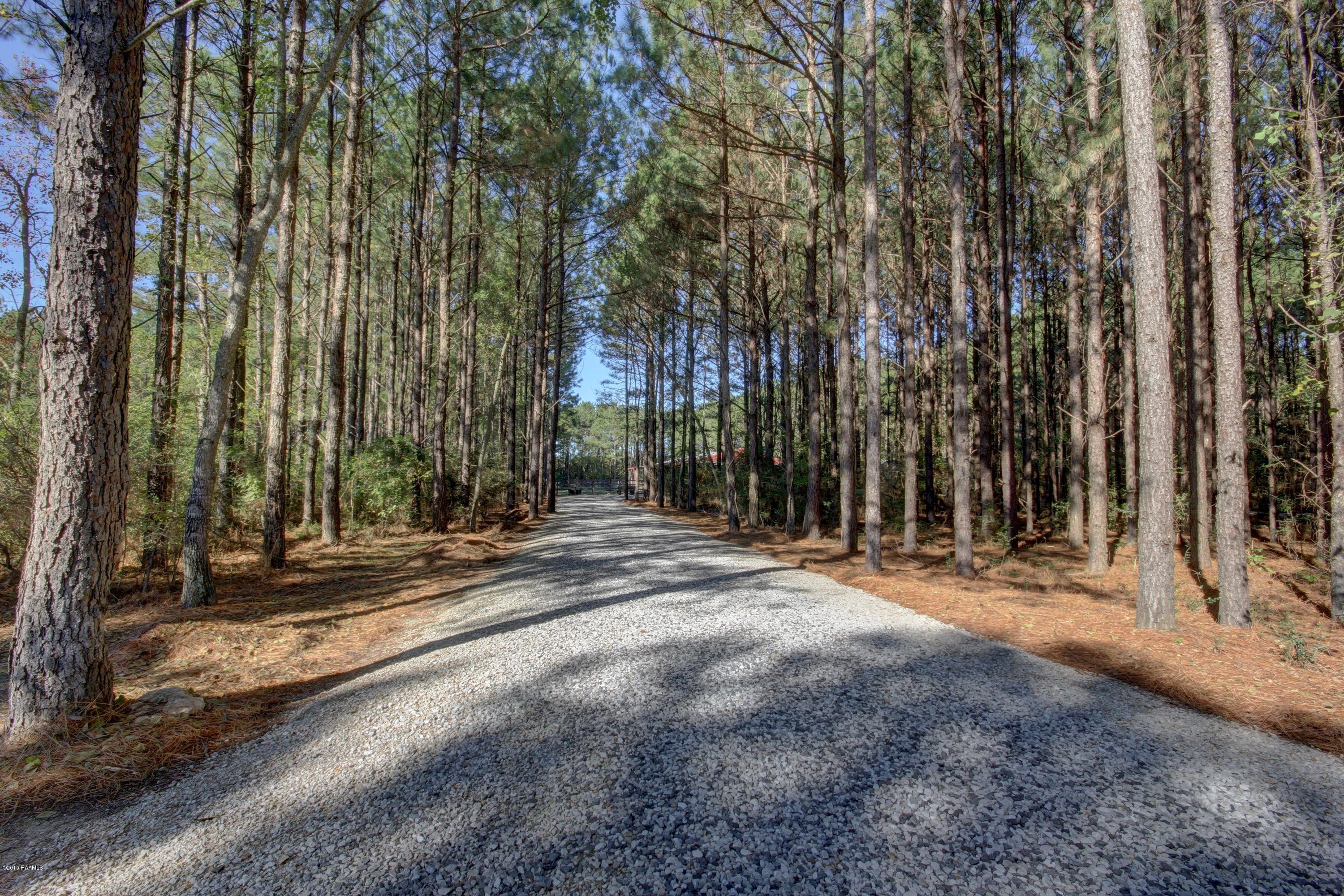 2800 Redich Road Eunice, LA 70535 - Photo 27 of 43 s__79