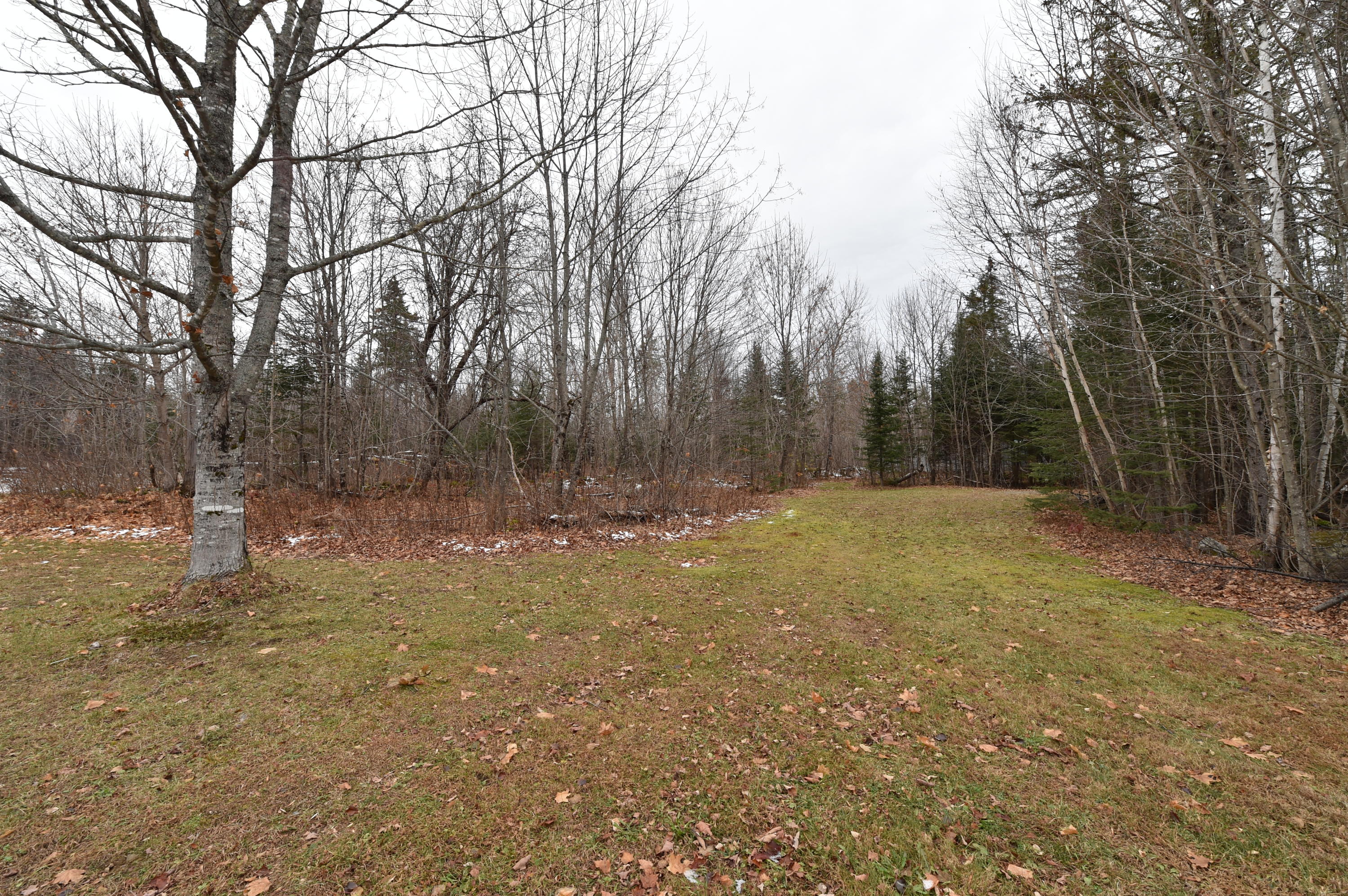 187 Tucker Ridge Road Springfield, ME 04487 - Photo 36 of 40 DSC_3717