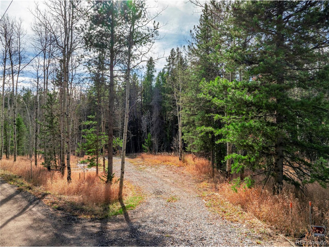 Gravel Driveway