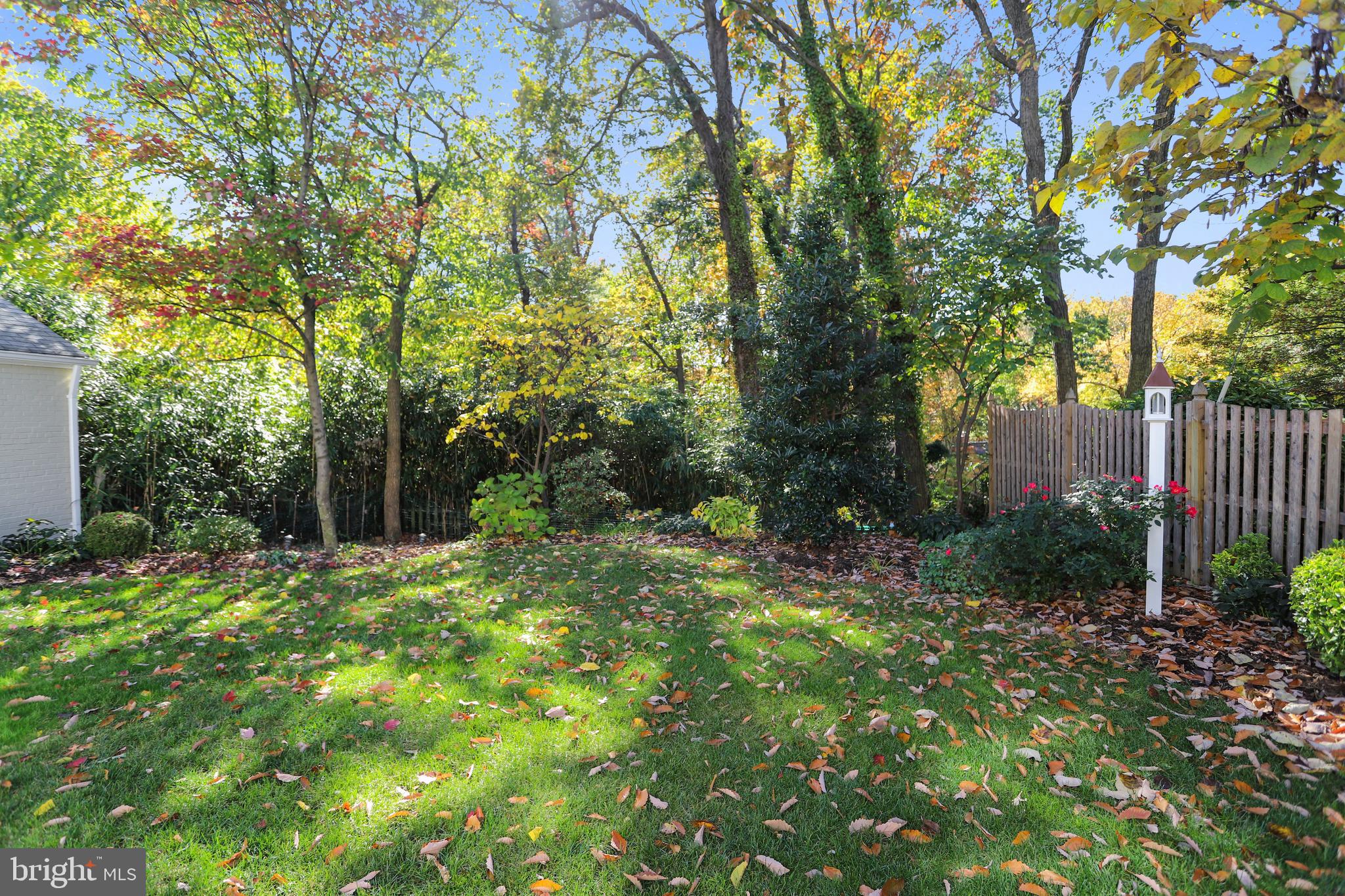 908 West Braddock Road Alexandria, VA 22302 - Photo 57 of 61 Back Yard