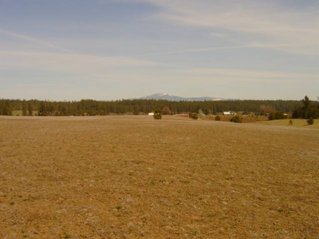 28000 North Monroe Road Deer Park, WA 99006 - Photo 1 of 5 Gallery Image 1