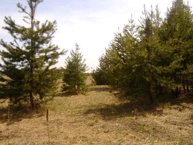 28000 North Monroe Road Deer Park, WA 99006 - Photo 2 of 5 Gallery Image 2